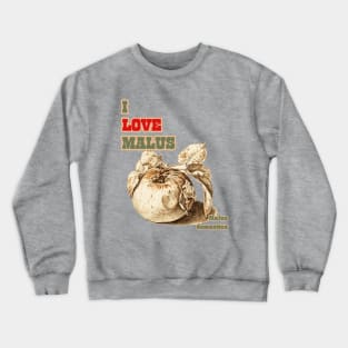 I Love Malus, Malus domestica. For Apple Lovers Everywhere! Crewneck Sweatshirt